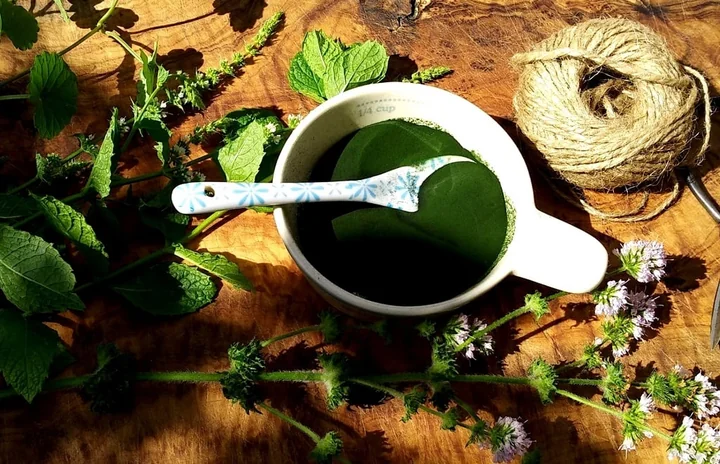 Dlaczego pochodzenie chlorelli ma kluczowe znaczenie dla jakości suplementu?