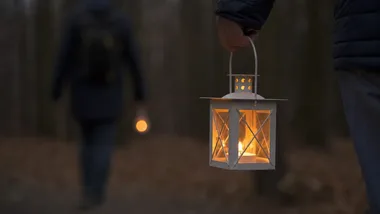 Nietoperze nad Parkiem Miejskim. Tylko 10 osób weźmie udział w spacerze