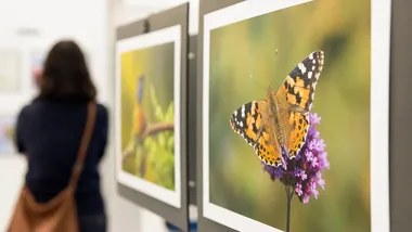 Młodzi fotografowie pokazują Wejherowo z innej perspektywy