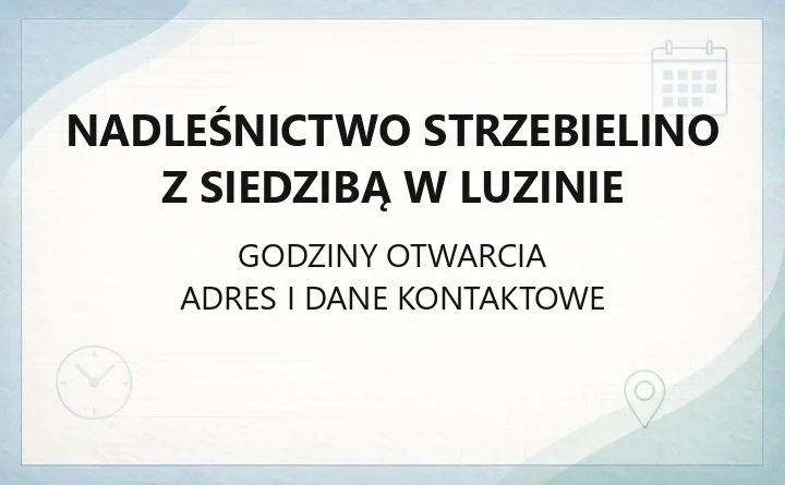 Nadleśnictwo Strzebielino z siedzibą w Luzinie - kontakt, drewno opałowe, zasady wjazdu do lasu i edukacja