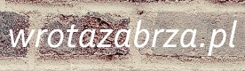 informacje dla miasta Zabrze