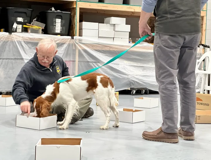 Grafika promocyjna wydarzenia Fred Helfers (USA) — Warsztaty NoseWork dla przewodników i instruktorów (początkujący i zaawansowani)