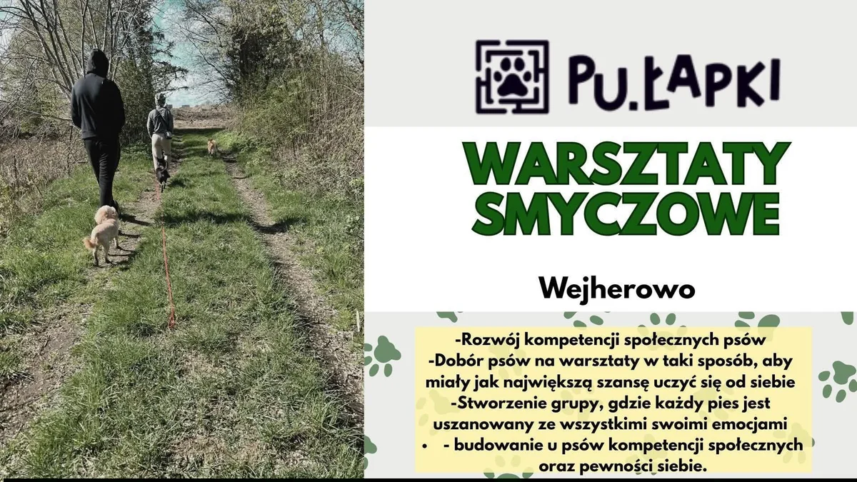 Grafika promocyjna wydarzenia Pułapkowe warsztaty smyczowe w Wejherowie