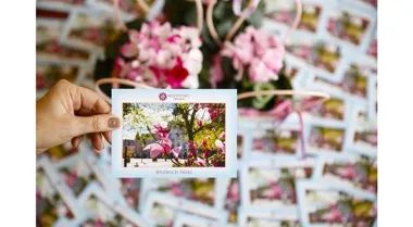 Bezpłatne wielkanocne kartki od Urzędu Miejskiego – odbierz w ratuszu