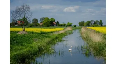 Pomorska branża turystyczna oceni sezon i wykorzystanie AI w nowej ankiecie