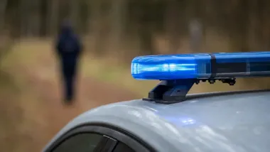 Pościg zakończył się na drzewie. 23-latek podejrzany o kradzieże