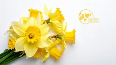 Jak skomponować wiosnę - florystyczne warsztaty wielkanocne dla 15 osób